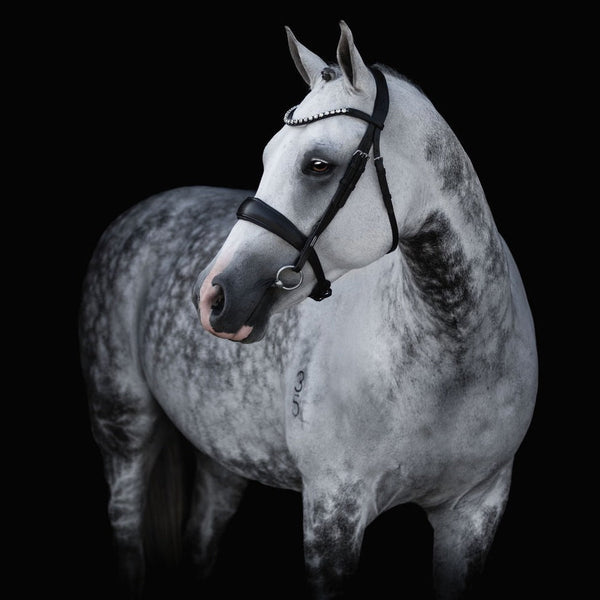 Abigail Black Italian Leather Bridle (No reins)