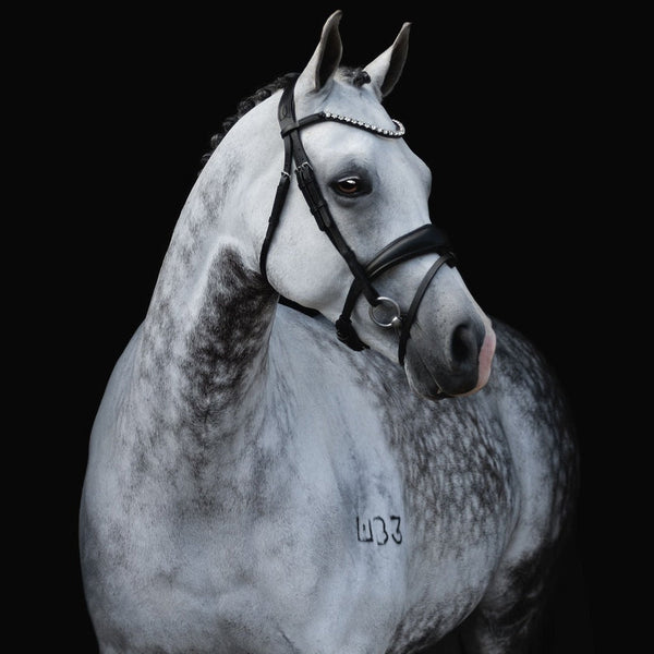 Abigail Black Italian Leather Bridle (No reins)