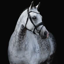 Abigail Black Italian Leather Bridle (No reins)