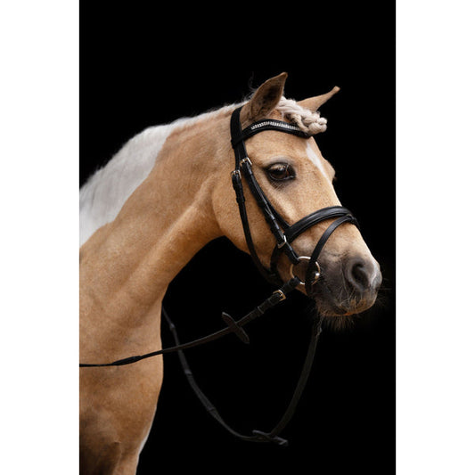 Little Star Bridle - Customer Return