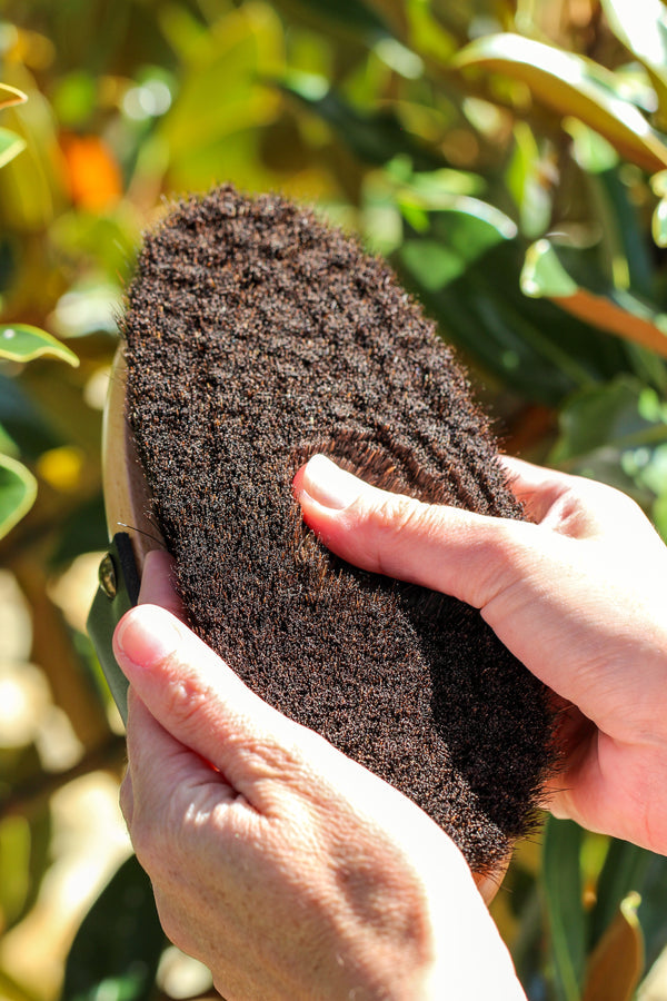 GeeGee COLLECTIVE | Premium Grooming Kit