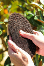 GeeGee COLLECTIVE | Premium Grooming Kit