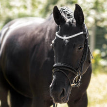 Amie Rolled Italian Leather Bridle (Hanoverian) (No reins)
