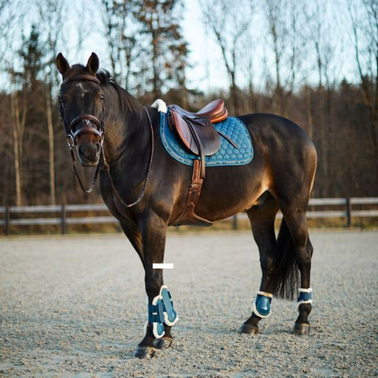 Horze Caliber Tendon Boot Set Cob