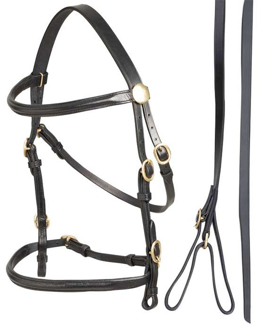 Bridle Led In & Lead Leather Aintree Black [:cob]