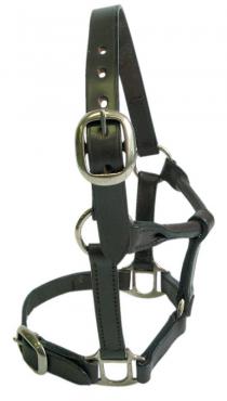 Foal Headstall Leather Brown