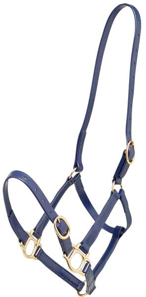 Headstall Plastic 19mm Zilco Blue [:cob]