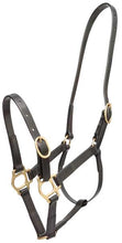 Headstall Plastic 19mm Zilco Black [:cob]
