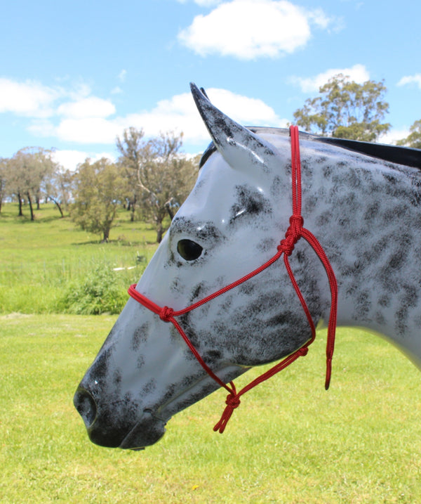 Nungar Headstall Knotted 6mm Red [:cob]