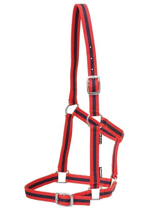 Headstall Webbing Academy Red & Navy [:pony]