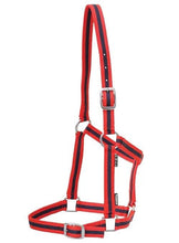 Headstall Webbing Academy Red & Navy [:pony]