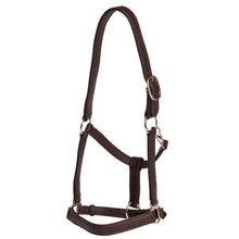 Headstall Leather Soft Jeremy & Lord Brown [:cob]