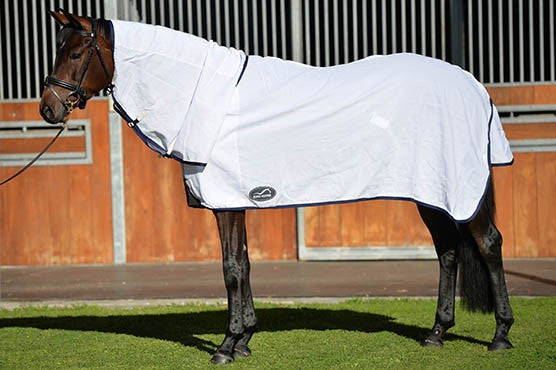 Flag Neck Rug Eurohunter [:cob]
