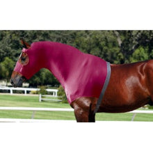 Bib Wonder Coat Hood Blue [:large]