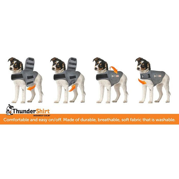 Thunder Anxiety Dog Shirt [:small]