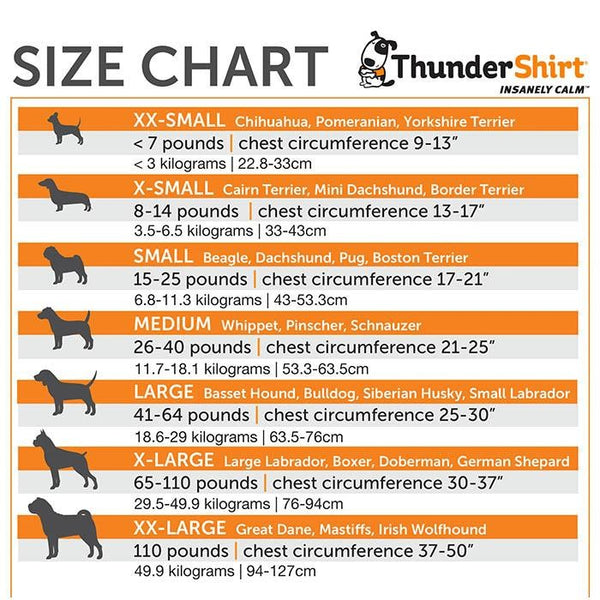 Thunder Anxiety Dog Shirt [:small]