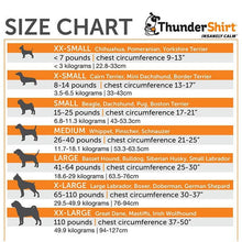 Thunder Anxiety Dog Shirt [:large]