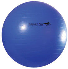 Horse Ball Mega Jolly [:medium]