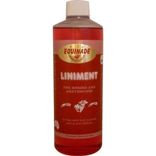 Linament Oil Equinade 500ml