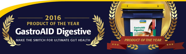 Gastro Aid Recovery Kelato 5.2kg