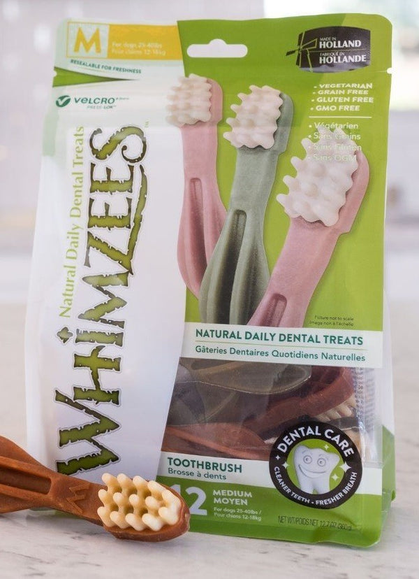 Whimzees Treat Toothbrush Star Value Bag 48 [:extra Small]