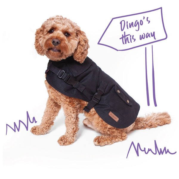 Kazoo Dog Rug Aussie Oilskin Black [:33.5cm]