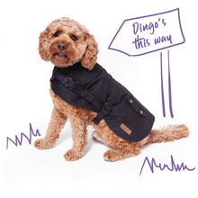 Kazoo Dog Rug Aussie Oilskin Black [:33.5cm]