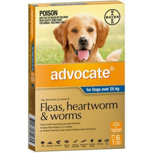 Advocate Dog Over 25kg Exlarge 6 Pack