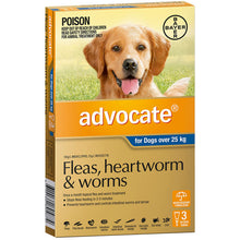 Advocate Dog Over 25kg Exlarge 3 Pack