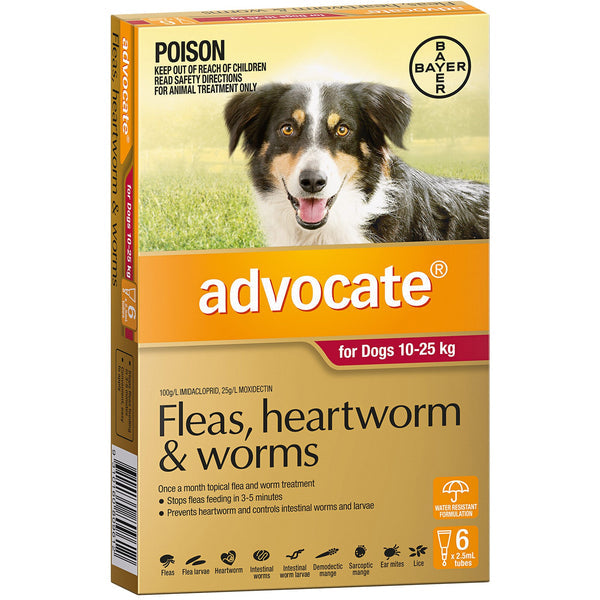 Advocate Dog 10kg-25kg Large 6 Pack