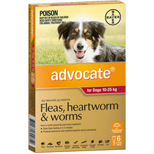 Advocate Dog 10kg-25kg Large 6 Pack