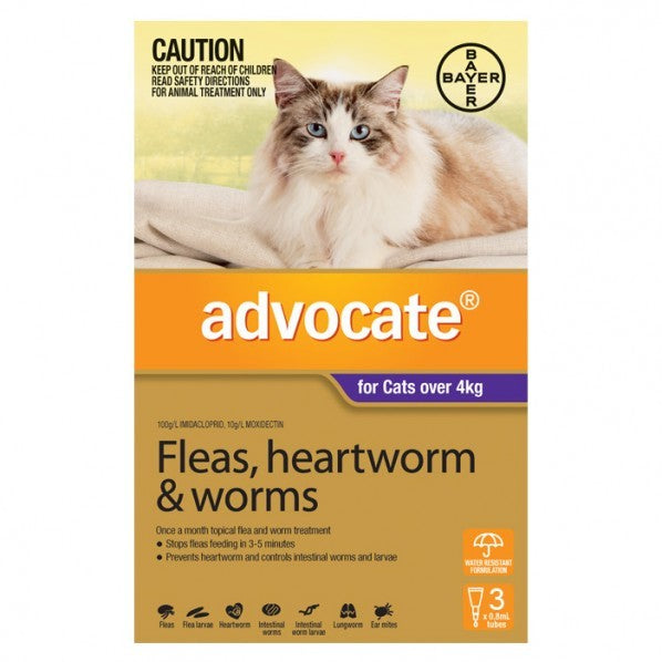 Advocate Cat Over 4kg Large 3 Pack
