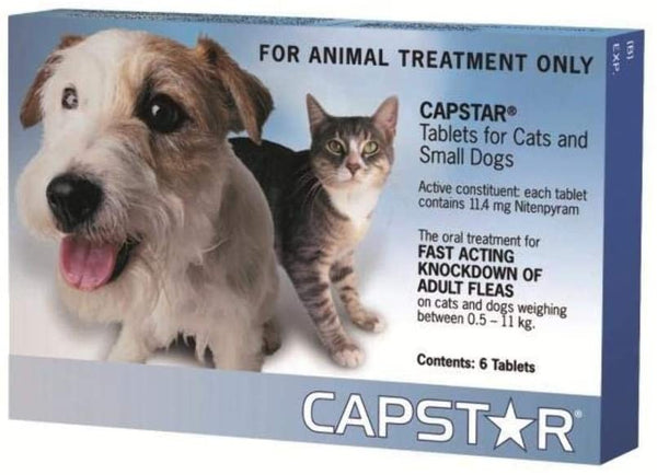 Capstar Cat & Small Dog