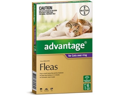 Advantage Cat Over 4kg Large 6 Pack