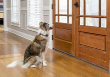 Bark Collar Spray Petsafe