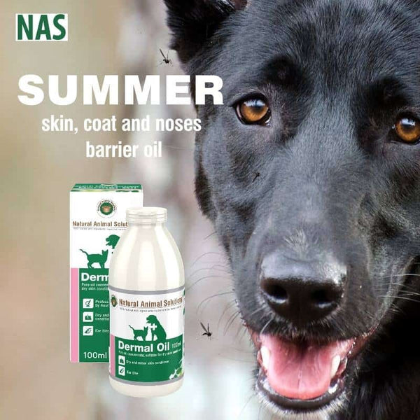Natural Animal Solutions Dermal Oil 100ml