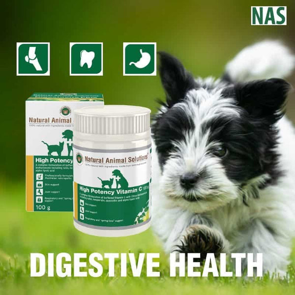 Natural Animal Solutions Hp Vitamin C 100gm