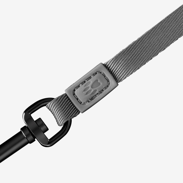 Retractable Lead Dogness Tape [:small]