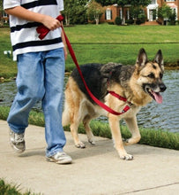 Harness Easy Walk Black [:small]