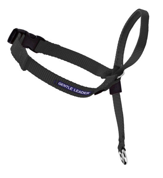 Head Collar Dog Easy Walk Headcollar Black [:small]