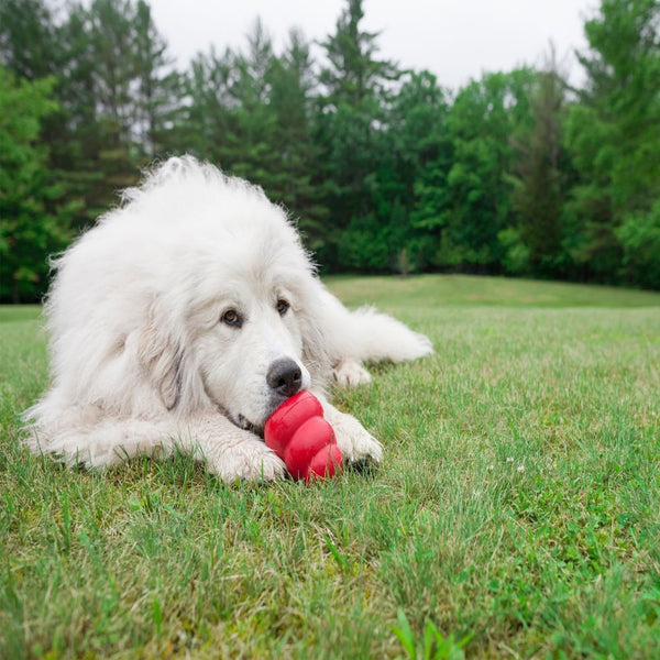 Kong Dog Toy Classic Red [:small]