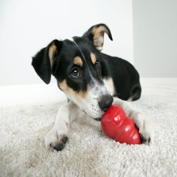 Kong Dog Toy Classic Red [:small]