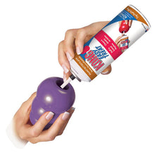 Kong Dog Toy Senior Medium