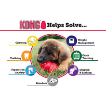 Kong Dog Toy Senior Medium