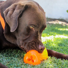 Rogz Dog Toy Yumz Blue [:small]