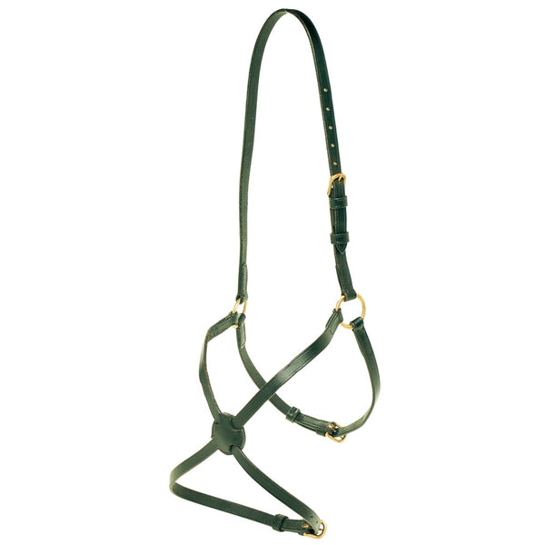 Noseband Figure 8 Leather Jeremy & Lord Brown [:cob By Order]