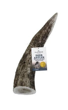 Deer Antler Each [:medium]