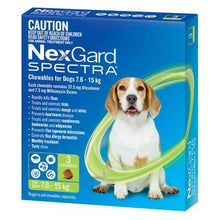 Nexgard Spectra Dog 7.6kg-15kg 3 Pack