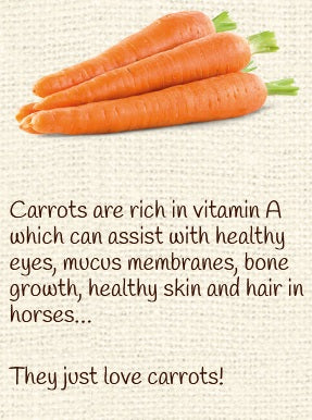 Horse Treat Equine Pure Delights Carrot Mint Turmeric Chia [:500gm]