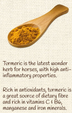 Horse Treat Equine Pure Delights Carrot Mint Turmeric Chia [:500gm]